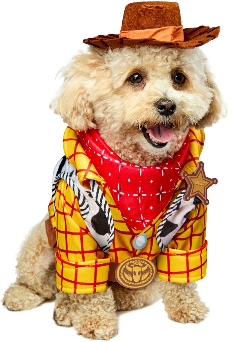 Rubies Toy Story: Woody Pet Costume for For Dogs or Cats by Rubies, Medium - Image 1